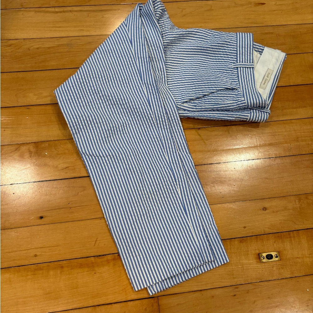 Blue and White J Crew seersucker Striped Pants
